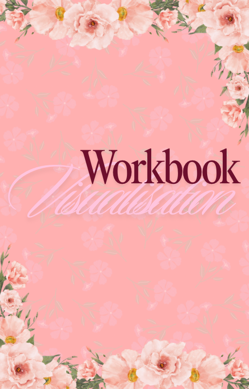 Workbook Visualisation